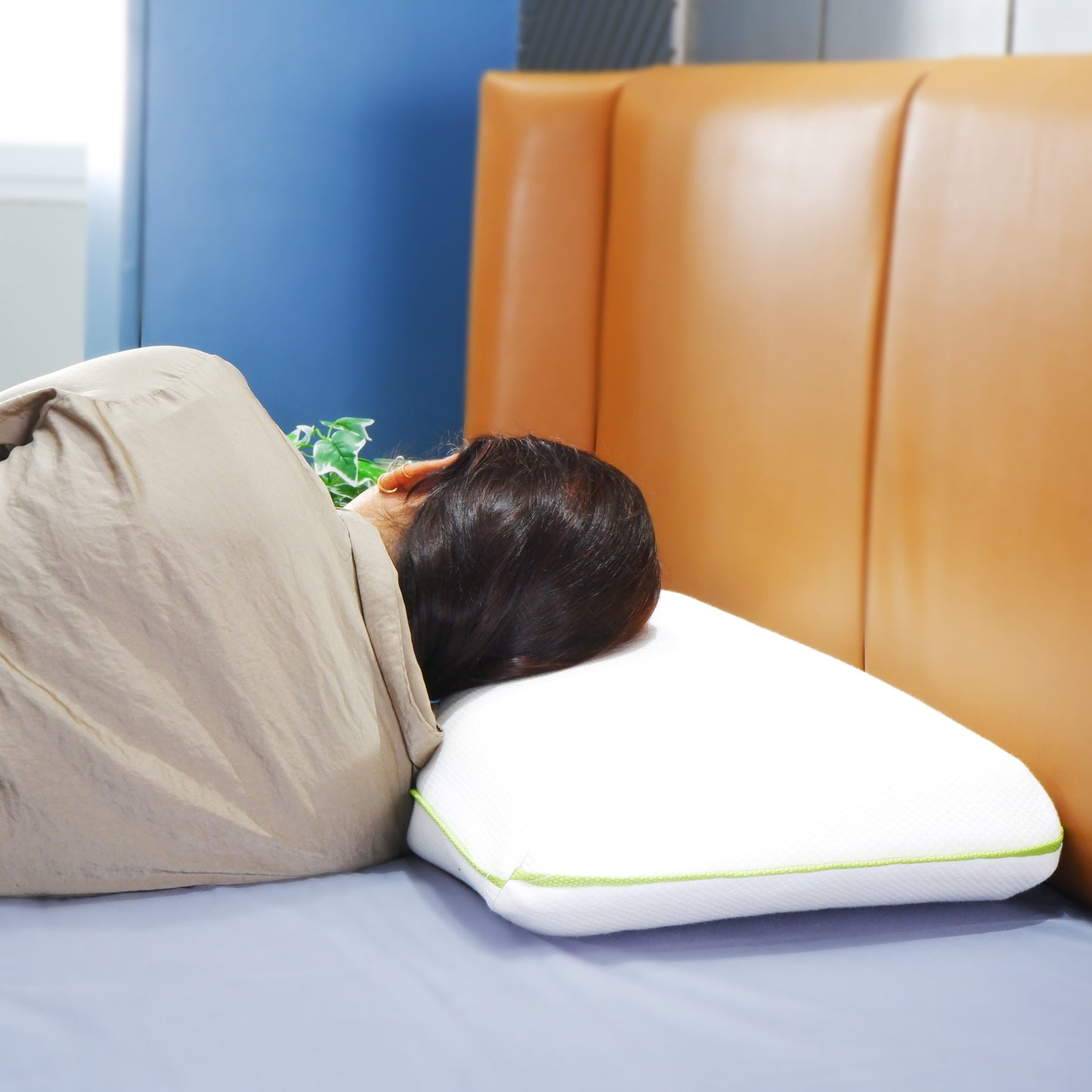 Latex Pillow