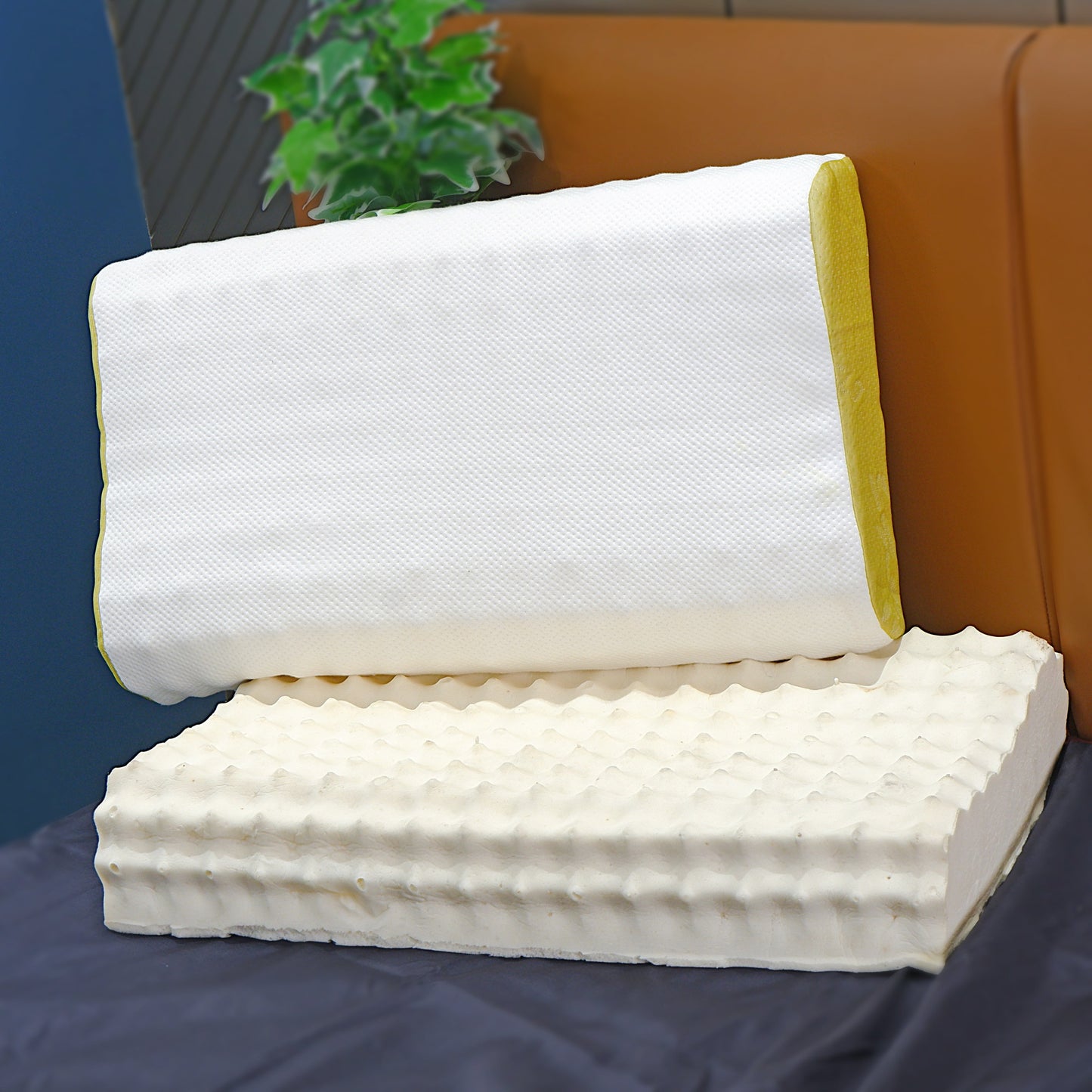 Latex Contour Pillow