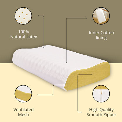 Latex Contour Pillow